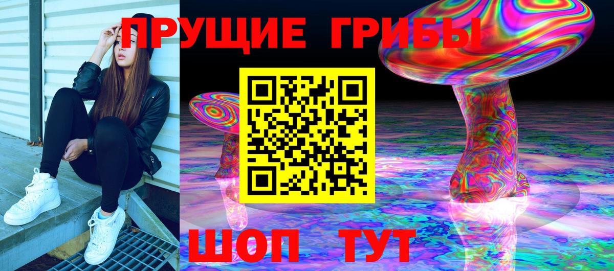 Псилоцибиновые грибы прущие грибы  Вход с VPN  как найти наркотики  Губкинский 